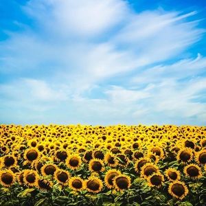 Meet your Posher, Daisy